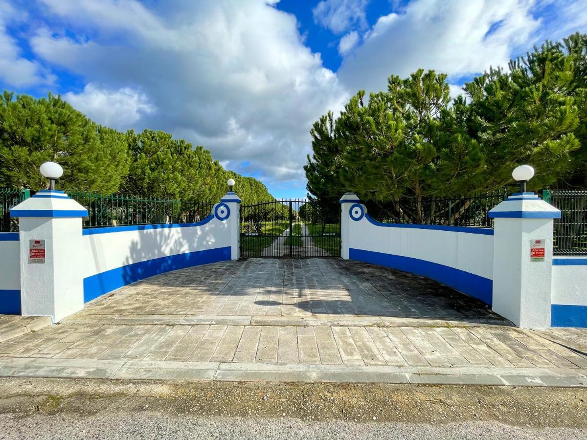Apartment Quinta Do Cutato - Beatriz - A2 Santo Estevao (Santarem)