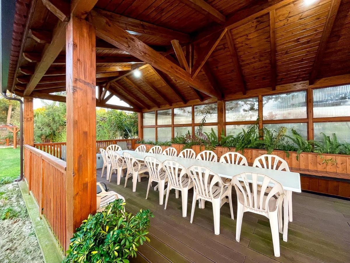 Quinta Do Cutato - Beatriz - A2 * Santo Estevao (Santarem)